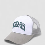 Dropout Trucker Cap - Grey