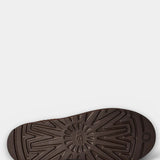 Tasman II -  Dusted Cocoa