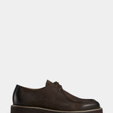Derby Shoe - Brown Suede