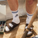 Shark Shaka Socks - White