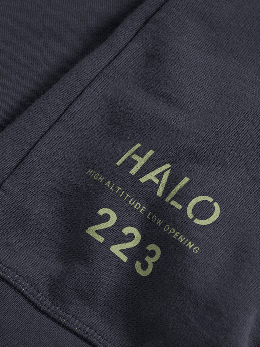 Heavy Graphic Halfzip Sweatshirt - HALO - Kul og Koks